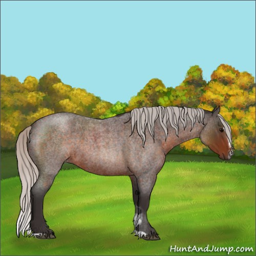 Horse Color:Silver Brown Roan Sabino 