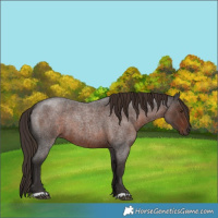 Horse Color:Liver Red Roan 