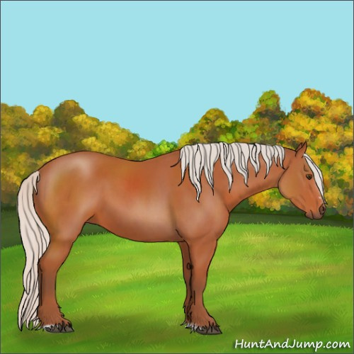 Horse Color:Silver Brown Sabino 