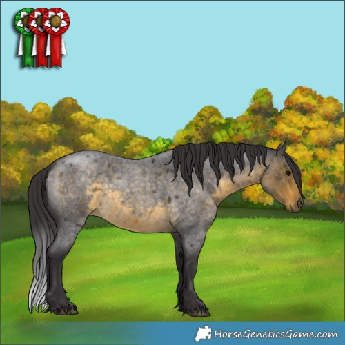 Horse Color:Buckskin Roan 