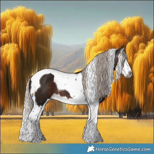 Horse Color:Gray Silver Brown Splash Tobiano 