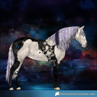 Horse Color:Void Painted Cremello Tobiano