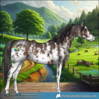Horse Color:Liver Chestnut Sabino