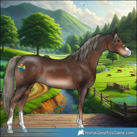 Horse Color:Liver Chestnut Mushroom 