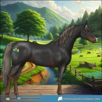 Horse Color:Liver Chestnut Mushroom 