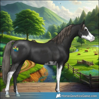 Horse Color:Liver Chestnut Mushroom Sabino 