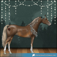 Horse Color:White Spotted Chocolate Palomino 