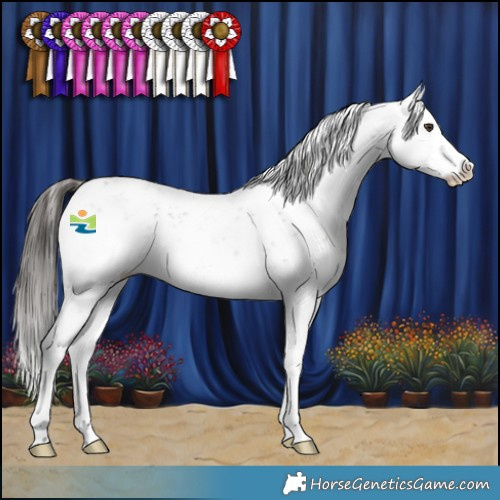 Horse Color:White Spotted Liver Chestnut Sabino 