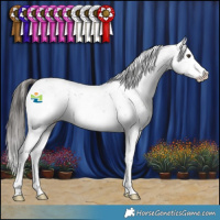 Horse Color:White Spotted Liver Chestnut Sabino