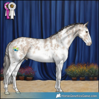 Horse Color:Liver Red Dun Sabino