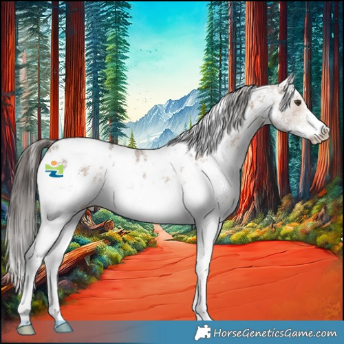 Horse Color:Liver Red Dun Sabino Appaloosa 