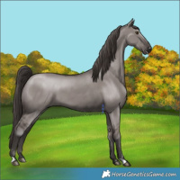 Horse Color:Platinum Liver Red Dun 