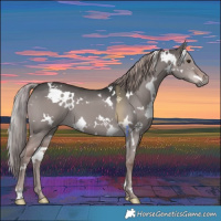 Horse Color:Platinum White Spotted Liver Red Dun 