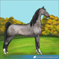 Horse Color:Platinum Brown Dun 