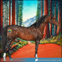 Horse Color:Brown Appaloosa