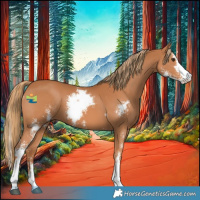 Horse Color:Chestnut Sabino