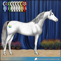 Horse Color:Liver Chestnut Sabino