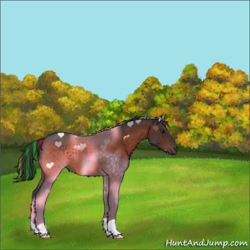 Horse Color:Painted Bay 