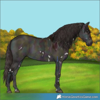 Horse Color:White Spotted Midnight Bay Ice Onyx 