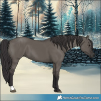 Horse Color:Smoky Grullo 