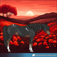 Horse Color:Liver Chestnut Tobiano 