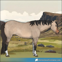 Horse Color:Bay Dun Tobiano Rabicano