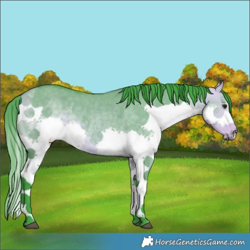 Horse Color:Watercolor Buckskin Dun Splash 