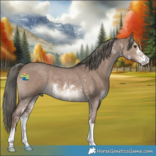 Horse Color:Liver Red Dun Mushroom Sabino 
