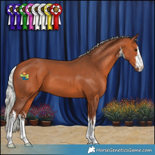 Horse Color:White Spotted Silver Bay 