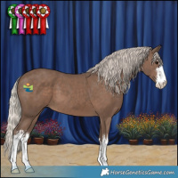 Horse Color:White Spotted Silver Black 