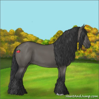 Horse Color:Grullo 