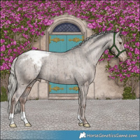 Horse Color:Liver Red Dun Mushroom Snowcap Brindle 