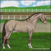 Horse Color:Liver Red Dun Varnish Brindle 