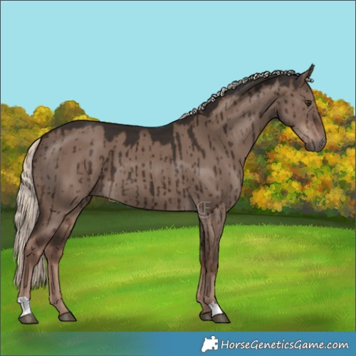 Horse Color:Liver Red Dun Mushroom Brindle 