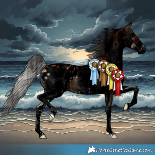 Horse Color:Void White Spotted Silver Bay Onyx Appaloosa 