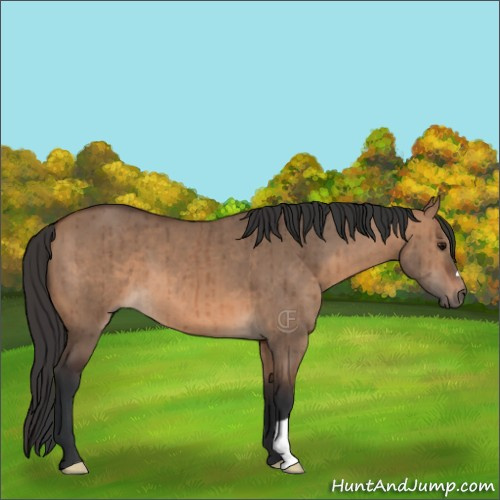 Horse Color:Brown Dun Brindle 