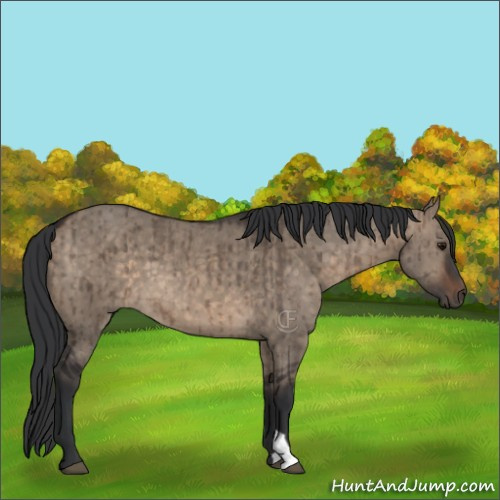 Horse Color:Brown Dun Brindle 
