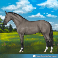 Horse Color:Grullo Brindle 