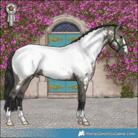 Horse Color:Grullo Near Fewspot Brindle 