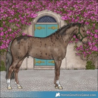Horse Color:Liver Red Dun Mushroom Brindle 