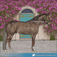 Horse Color:Liver Red Dun Mushroom Brindle
