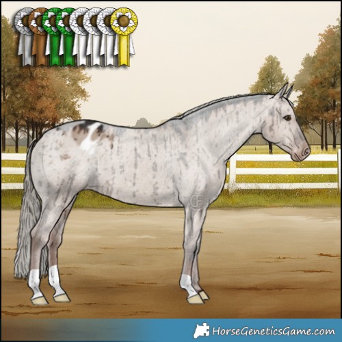 Horse Color:Liver Red Dun Mushroom Appaloosa Brindle 