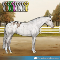 Horse Color:Liver Red Dun Mushroom Varnish Brindle 