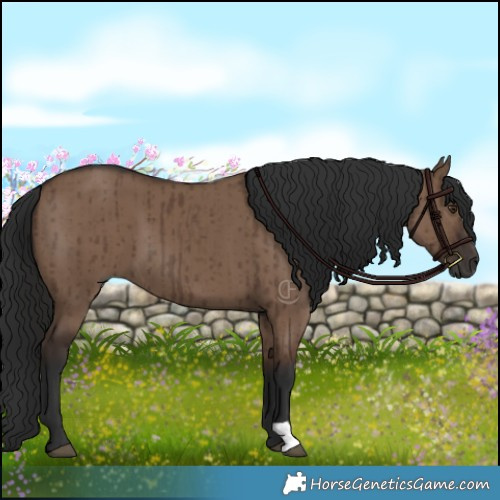Horse Color:Liver Red Dun Brindle 