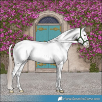 Horse Color:Liver Red Dun Varnish Brindle 