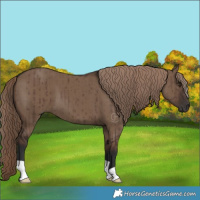 Horse Color:Liver Red Dun Brindle 