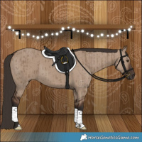 Horse Color:Liver Red Dun Brindle 