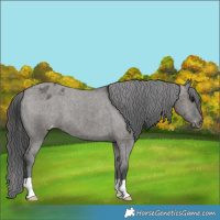 Horse Color:Grullo Varnish Brindle 