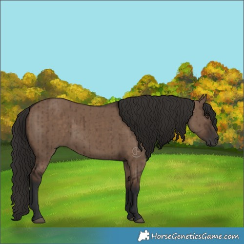 Horse Color:Liver Red Dun Brindle 