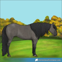 Horse Color:Grullo Brindle 